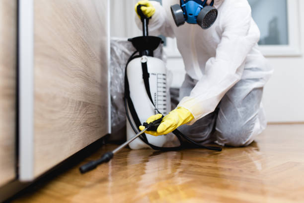 Best Commercial Pest Control Services  in Olney, IL