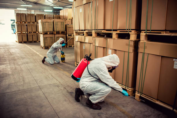 Best Mosquito Control Services  in Olney, IL