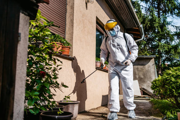 Best Best Pest Control Companies  in Olney, IL