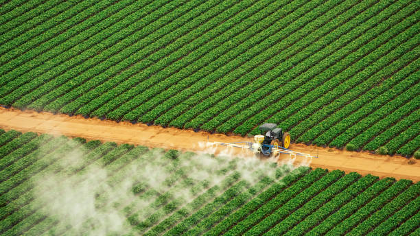 Pest Prevention Services in Olney, IL