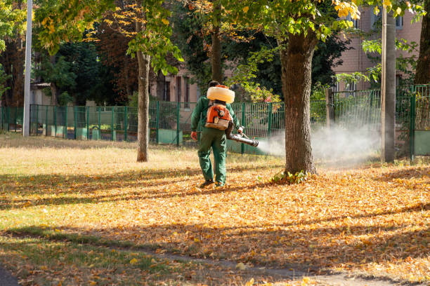 Best Pest Removal Services  in Olney, IL