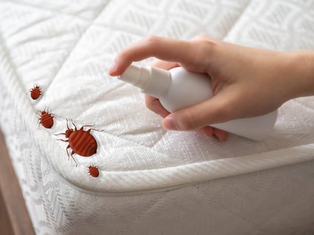 Best Pest Inspection Near Me  in Olney, IL