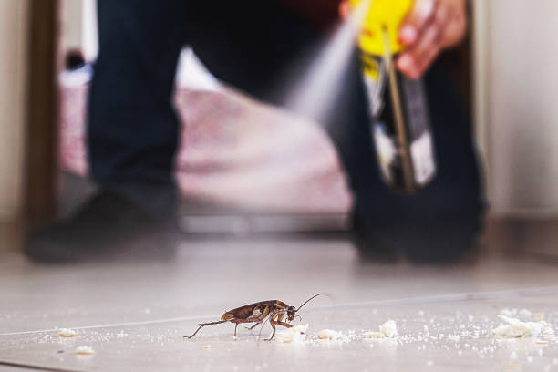 Best Residential Pest Control  in Olney, IL