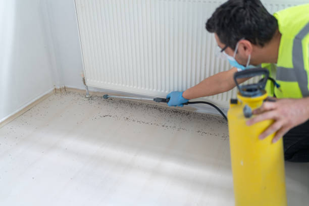 Best Pest Prevention Services  in Olney, IL