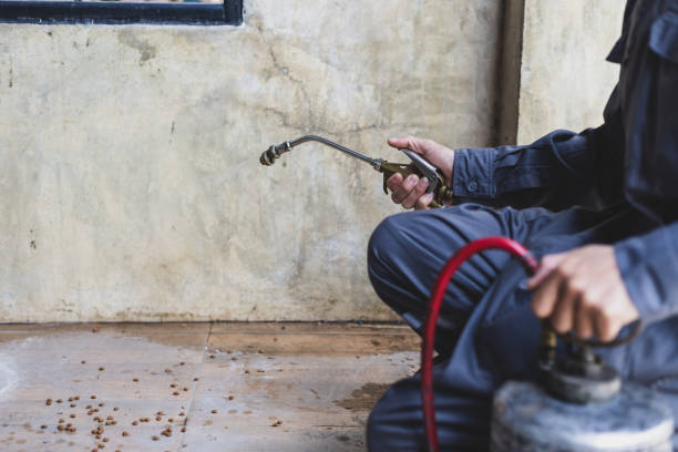Best Affordable Pest Control Services  in Olney, IL