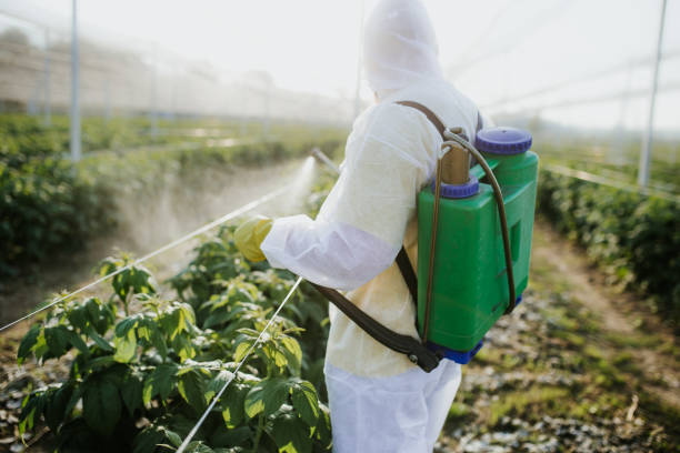 Best Pest Control Near Me  in Olney, IL
